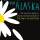 Book Review: Looking For Alaska